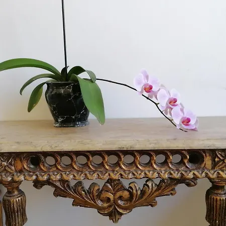 Konukevi Chiado Open World Lisboa